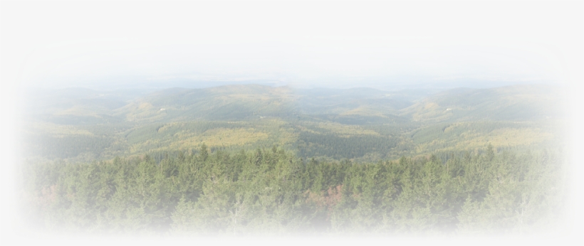 Connecticut-texture, transparent png download