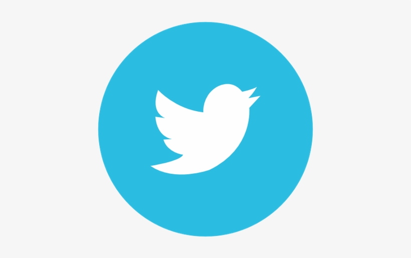 Twitter Circle Mediu - Twitter Icon Transparent, transparent png download