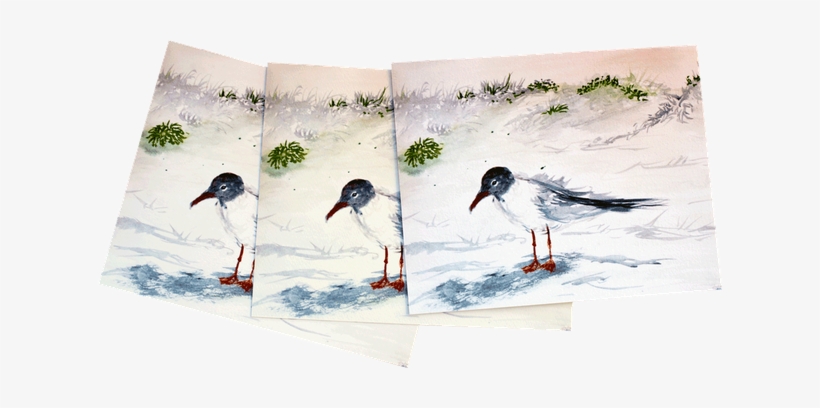Claim Your Prints - Oystercatcher, transparent png download
