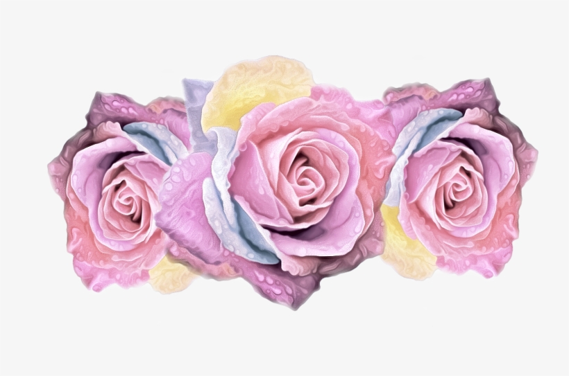Colorful Roses On Transparent Background, High Resolution, - Barrierefreiheit - So Leben Sie Trotz Handicap Barrierefrei, transparent png download