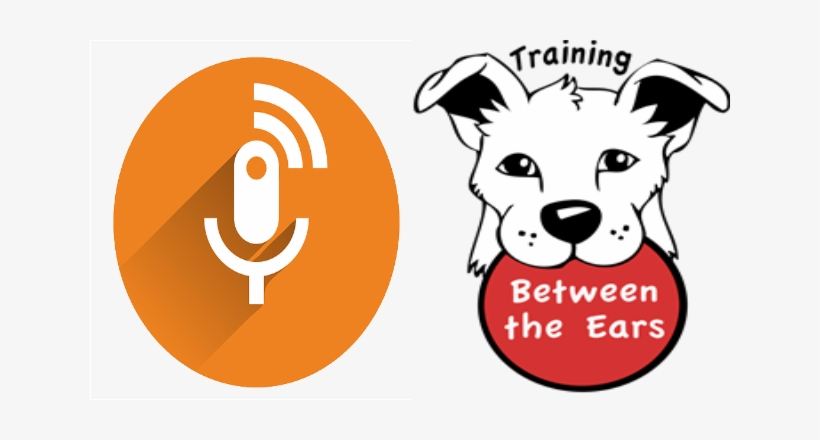 Podcast, transparent png download
