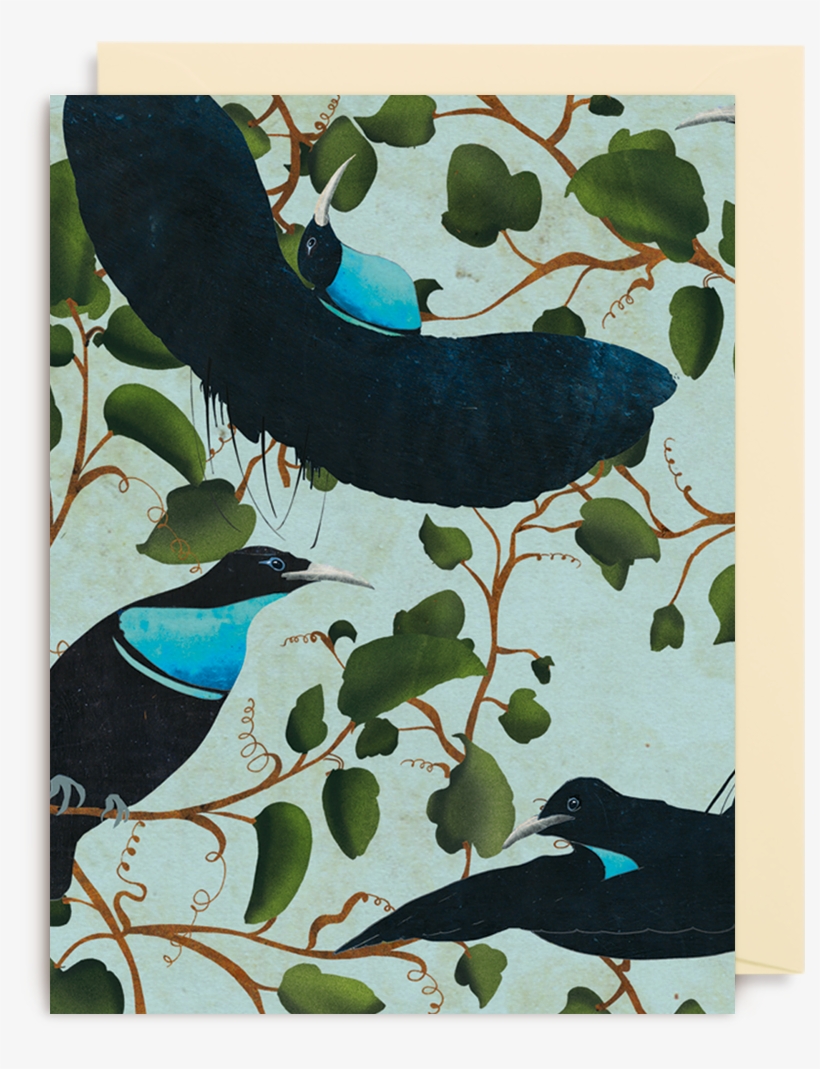 Victoria's Riflebird, transparent png download