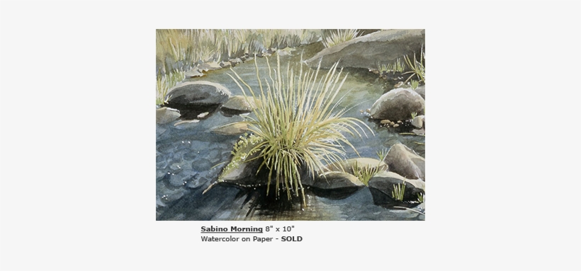 Pond Pine, transparent png download