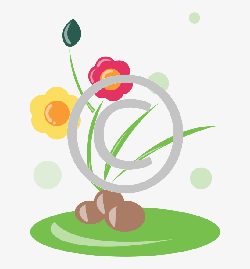 Pond Flower, transparent png download