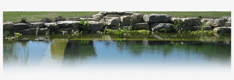 Contact - Reflection, transparent png download