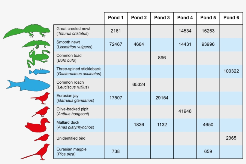 Mitigation Pond Otu Table 01 No Bg - Number, transparent png download
