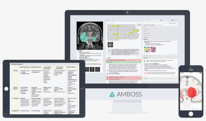 Devices-neurology02 - Riga, transparent png download