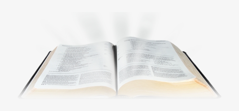 Oír La Bibliacatólica - Document, transparent png download