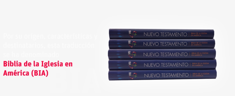 Anteriorposterior - Biblia De La Iglesia En América, transparent png download