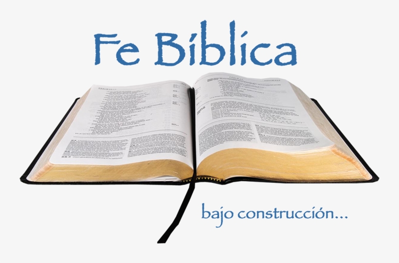 Open Bible, transparent png download