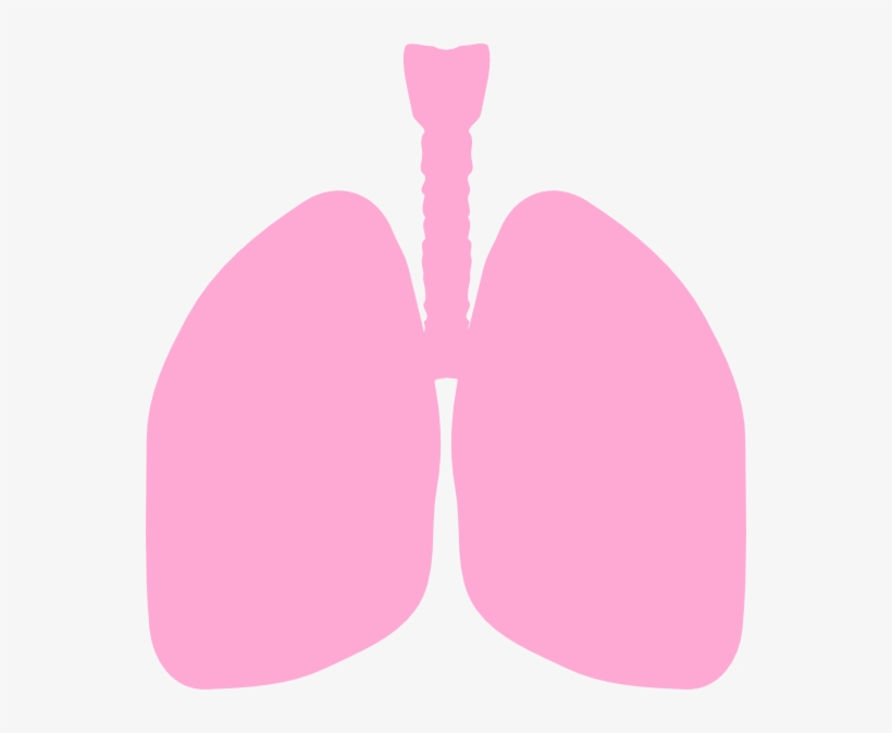 Banner Transparent Stock Lungs Clip Art At Clker - Clip Art Lungs, transparent png download