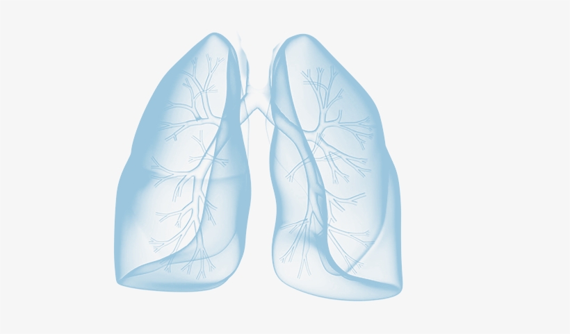 Now What - Blue Lungs, transparent png download
