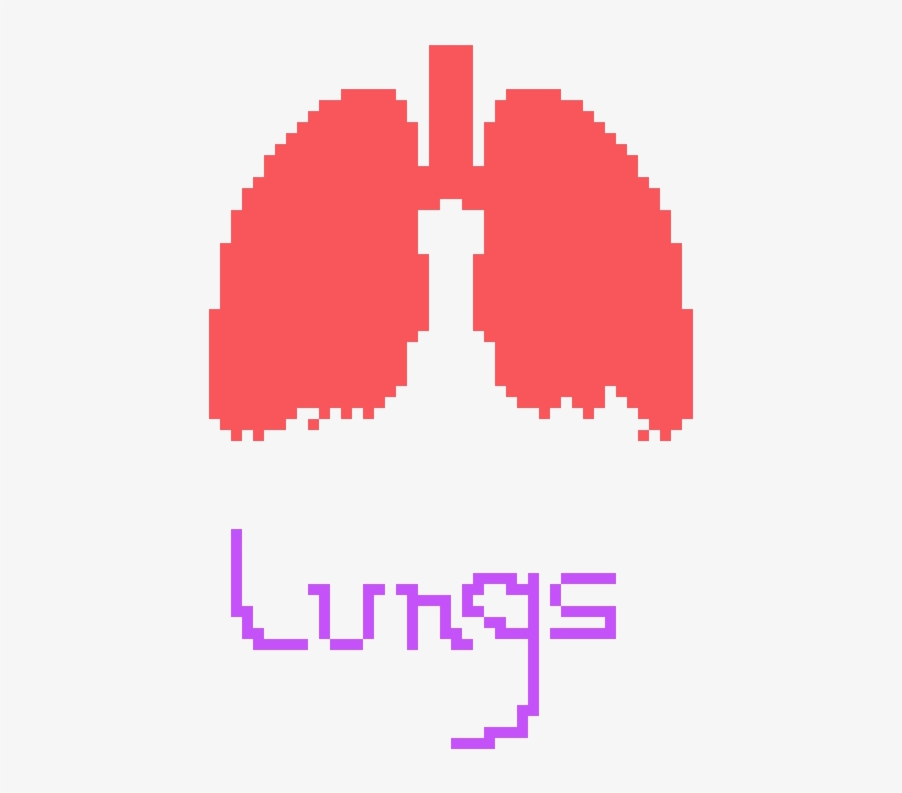 Lungs - Pixel Art, transparent png download