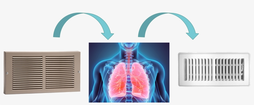 Hvac-lungs - Everbilt 2 In. X 10 In. White Floor Diffuser, transparent png download
