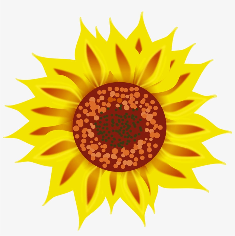 Sunflower Png Library - Sun Flower Top View, transparent png download