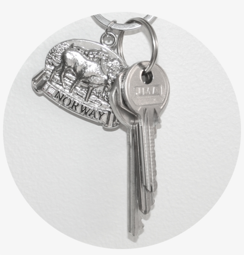 We Will Safeguard Your Keys And Any Copies Of House, transparent png download