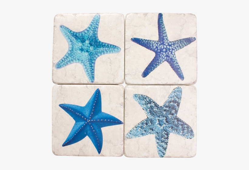 Dwbh Cos1868-starfish - Fotosearch, transparent png download
