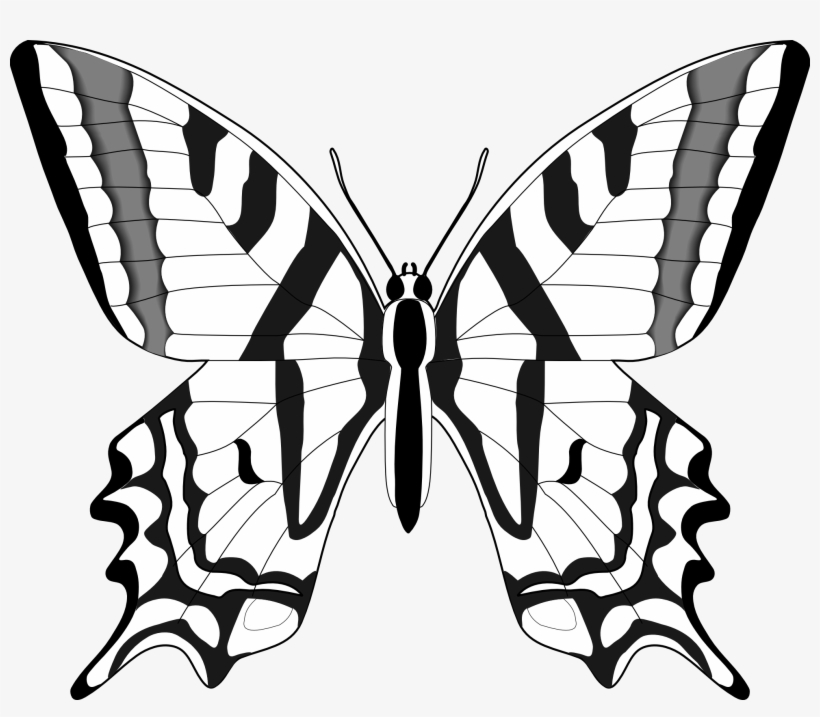 Clipart Butterfly Images Black And White, transparent png download