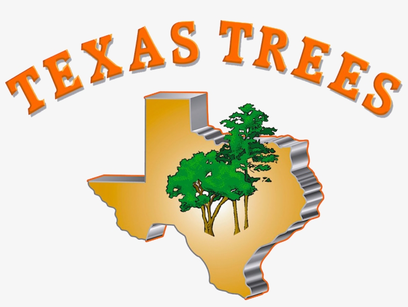 Large Of Angies List San Antonio - Refugees Welcome Bring Your Families, transparent png download