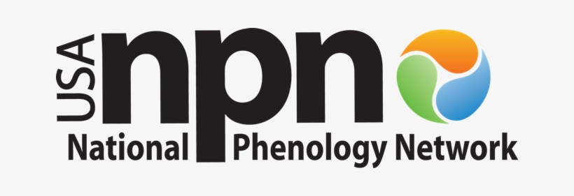 Foundations Of Biochemistry [book], transparent png download