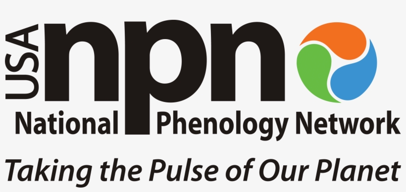 Png - National Phenology Network, transparent png download