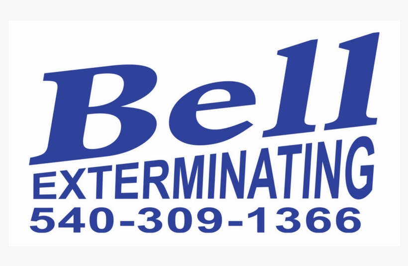 Graphics, transparent png download