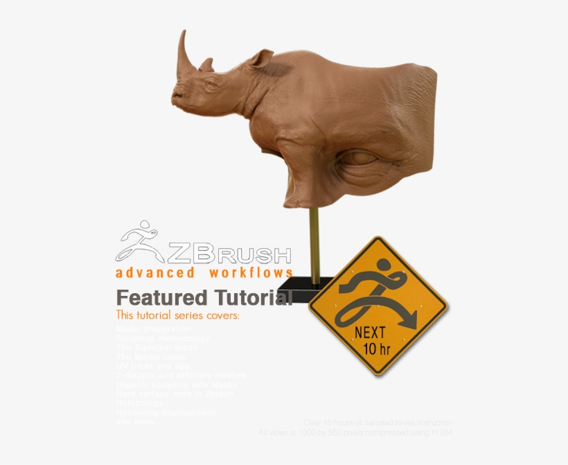 Black Rhinoceros, transparent png download
