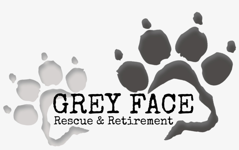 Gfr @ Petsmart, transparent png download