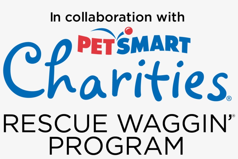 Adoption Resources - Petsmart Charities Of Canada, transparent png download