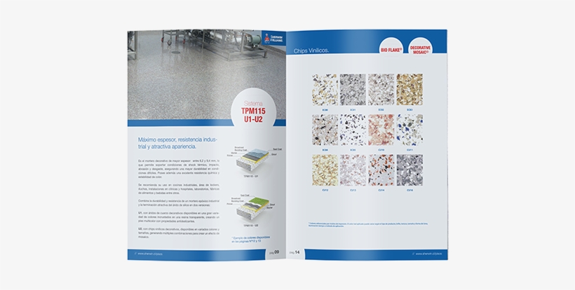 Desarrollo Brochure - Flyer, transparent png download