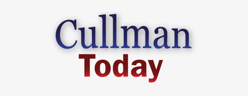 Pin It On Pinterest - Reliance Foundation, transparent png download