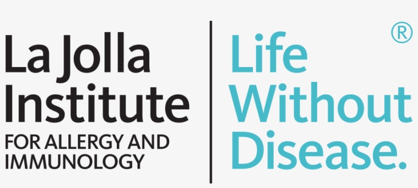 Ljilogo - Suit Without Tie, transparent png download