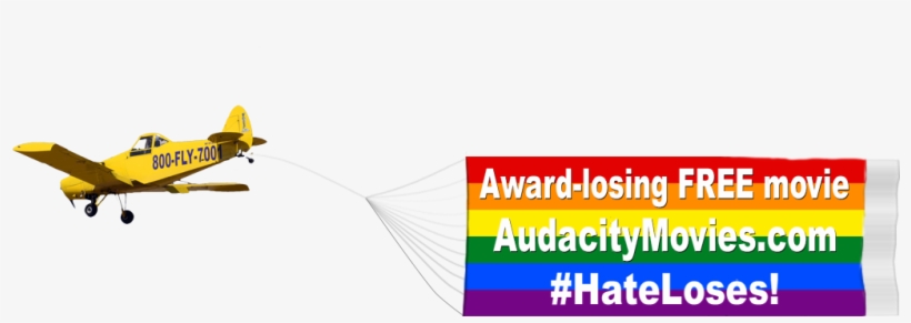 Audacitymovies - Cessna O-1 Bird Dog, transparent png download