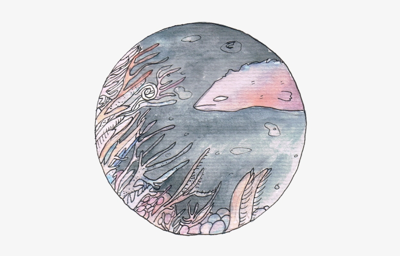 Bloomingart - Sketch, transparent png download