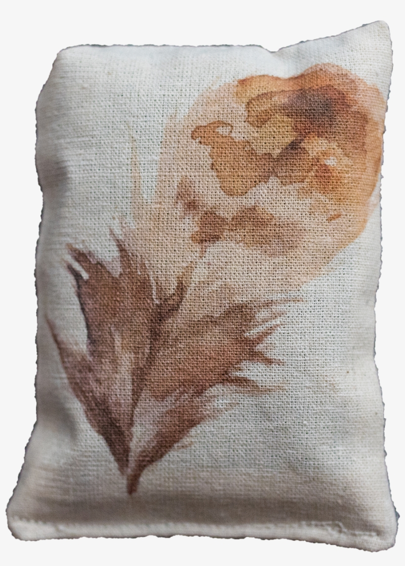 Watercolor Brown Feather - Cushion, transparent png download