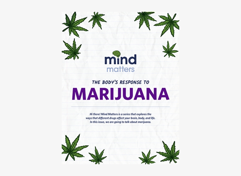 The Body's Response To Marijuana - Publication, transparent png download