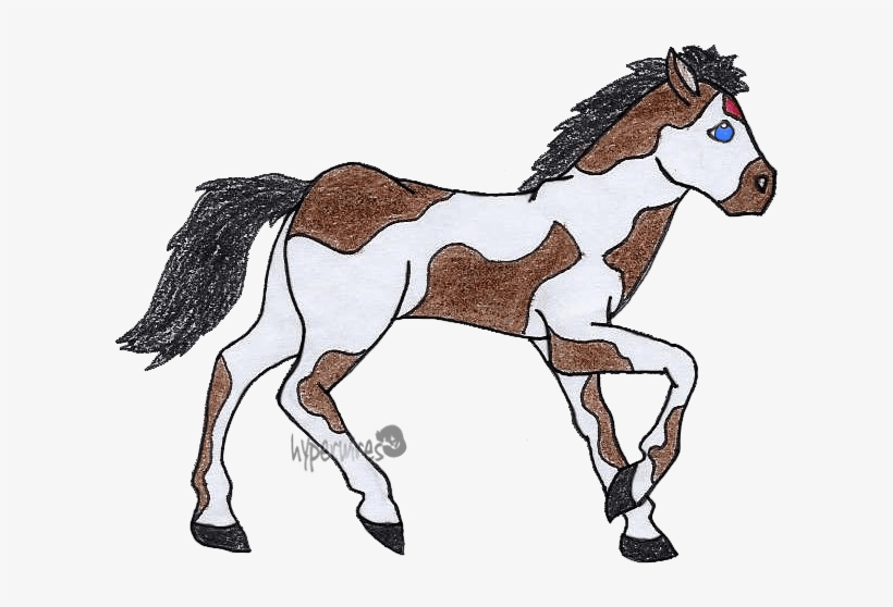 I - Horse, transparent png download