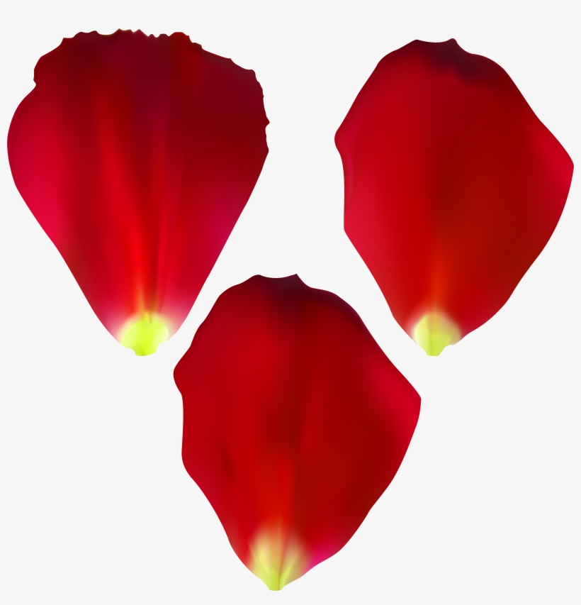 Rose Petals Png, transparent png download