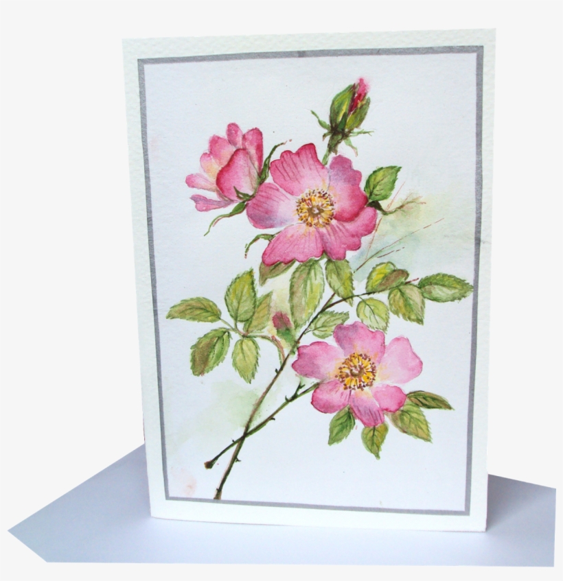 Wild Roses - Floral Design, transparent png download