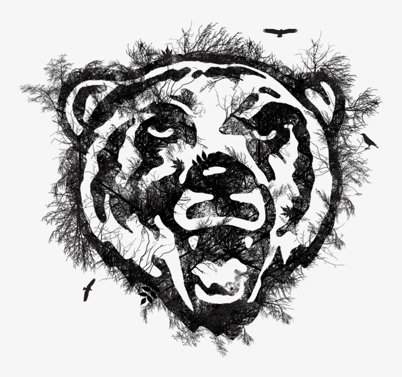Bear Ks V2 - Art Print: Pop Ink - Csa Images' Growling Bear, 30x30in., transparent png download