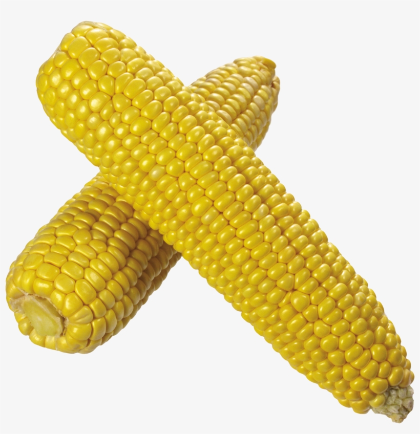 Corn Png Image - Corn Transparent Background, transparent png download