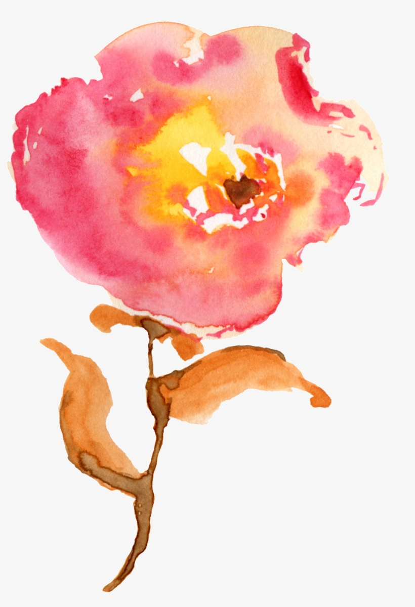 Transparent Ornamental Material For The Pistil Of Water - Eleville 8x10 Let The Peace Of Christ Rule In Your, transparent png download