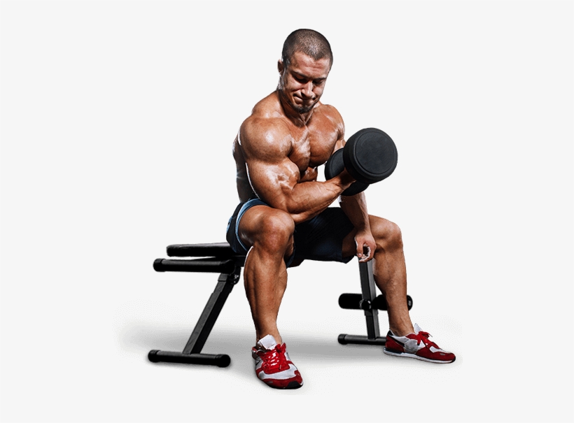 We Provide - Man With Dumbbells Png, transparent png download