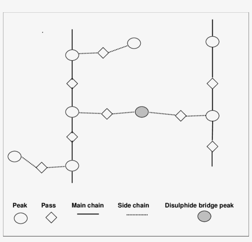 Llustration Of Disulphide Bridge Between Main Chains - Circle, transparent png download