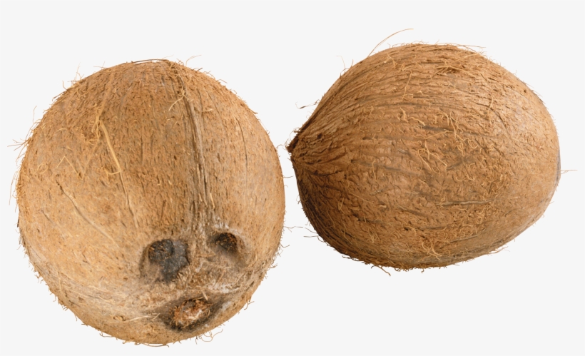 Coconut Png Image - Coconut, transparent png download