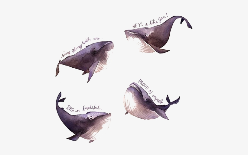 Watercolor Painting Illustrator Iraville Pencil Illustration - Iraville, transparent png download