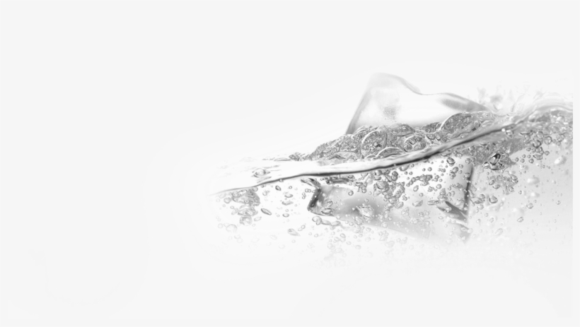 Since - Monochrome, transparent png download