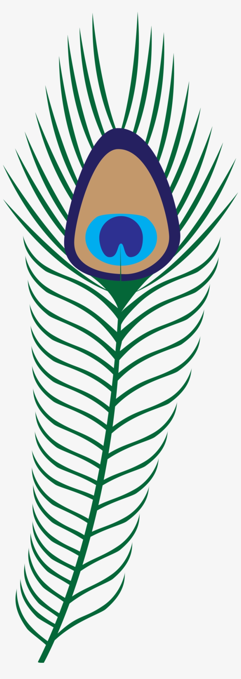 Peacock Transparent Png Pictures - Hera Feather, transparent png download