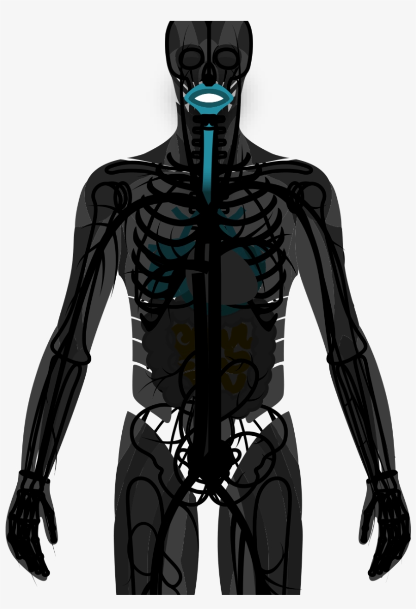 Mouth/throat - Assassin's Creed Iv: Black Flag, transparent png download