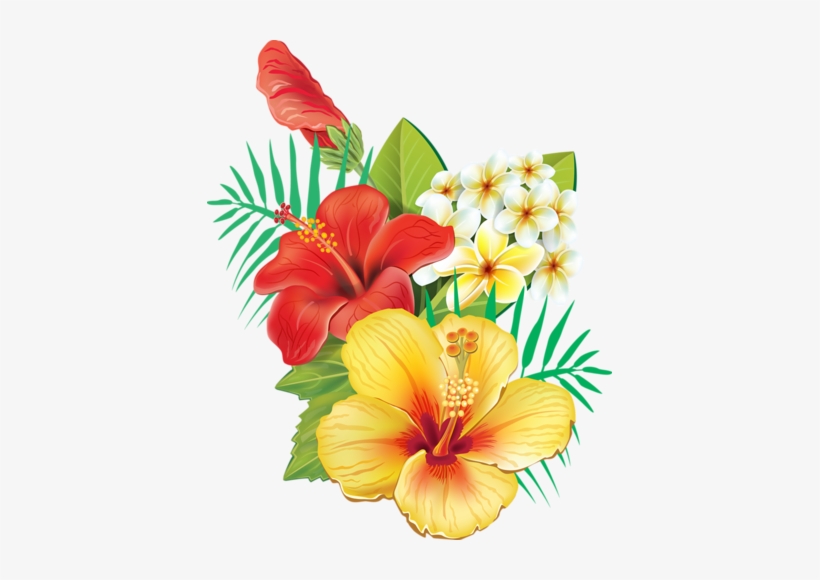 0 Cc5d0 25b8a0b Xxxl - Transparent Tropical Flowers Png, transparent png download